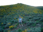 Me in a field of Arrowleaf Balsamroot.