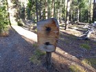 Entering the wilderness area, just after the trailhead.