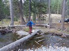 Creek crossing before returning to the trailhead.