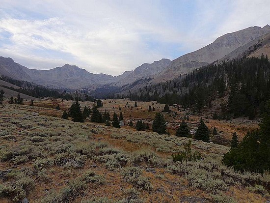 Andromeda Peak and Left Fork Fall Creek