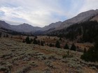 Morning view up Left Fork Fall Creek.