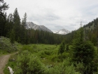 Marshy area near the beginning of the hike, taken just after the first crossing of Big Boulder Creek.