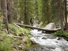 JJ crossing a log over Big Boulder Creek.