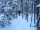 John winding his way through the trees.