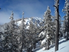 Trees on the ridge, another false summit in the distance.