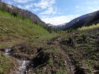 The upper valley, scrubbed by an avalanche within the last few years.