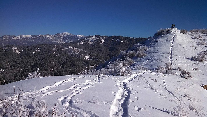 Summit of Bald Mountain