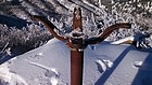 Interesting summit marker. Old plane table mount from a long gone lookout?