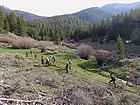 Start of the hike in Summerhouse Canyon. Our ridge to the right.