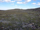 Fellfield Mountain summit plateau.