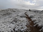 Entering the snow.