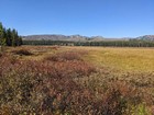 First view of Corduroy Meadows.