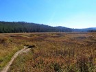 Just after the 3 mile crossing of Elk Creek.