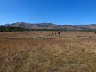 Trail leading us through the meadows.