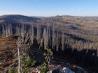 Headwaters of Porter Creek from Porter Creek Peak.