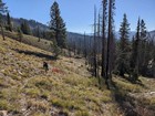 Hiking up Porter Creek.