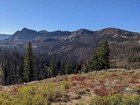 View from photographers point near the headwaters of Porter Creek.