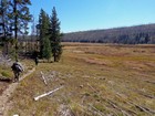 Passing Crane Meadow during the hike back.