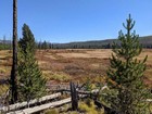 Final view of Crane Meadow.