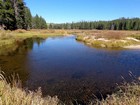 Meandering Elk Creek near the crossing.