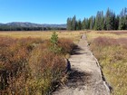 Final view of the boardwalk in Corduroy Meadows.