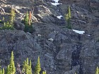 Mountain Goats above Buck Lake.