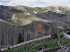 Looking down on the Springfield Mine from Baldy Ridge. Left in bad shape after being abandoned in the 50's.