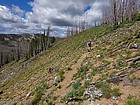 Did I mention the wildflowers?