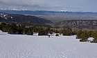 Getting above the trees, Lost River Range in the background.