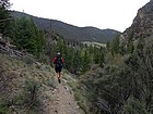 Almost back to the Big Creek trailhead.