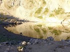 Skipping rocks.