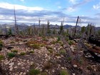Summit view from
