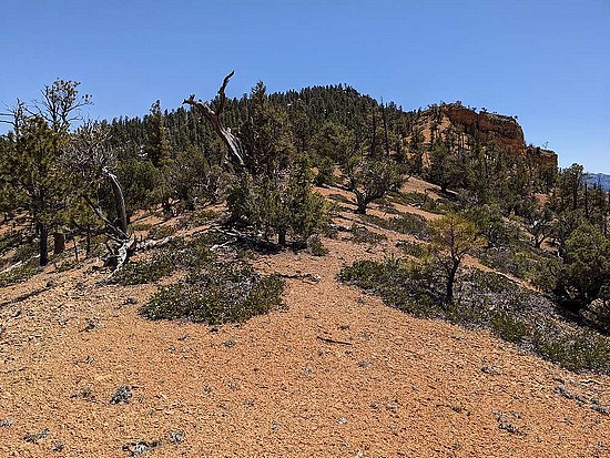 Hiking up Black Mountain