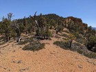 On the ridge heading toward Black Mountain.