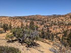 View northeast from the ridge.