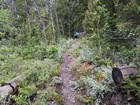 Heading up the trail.