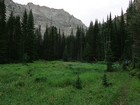 The trail weaves through forest and meadows.