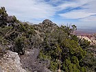 View of Crest Peak to the northeast.