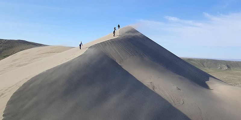 Bruneau Sand Dunes