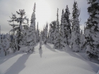 Nice scene on the summit of Bull Horn Mountain.