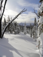 View southwest toward Bull Trout Point.