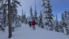 Mellow terrain on the ridge. Brady photo.