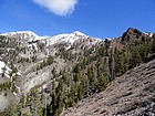 View of Buttercup Mountain from across the upper Cherry Creek drainage.