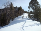 Snowshoeing along the west ridge.