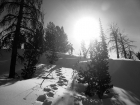 Black and white shot of John hiking into the sun.