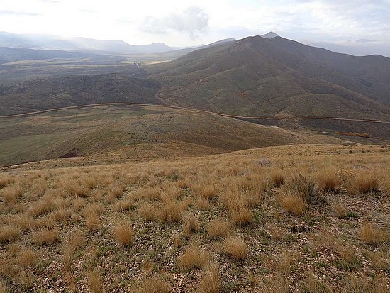 Cayuse Peak from Cow Peak