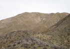 A look at Cervidae early in the hike, from near point 3697'.