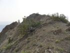 Nearing the summit of East Chamberlain Peak.