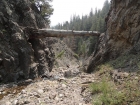 Huge log about fifteen feet off the ground on the way down unnamed creek.