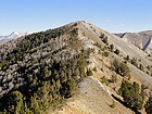 Southwest ridge of Champion Peak, with the herd of goats partially visible.